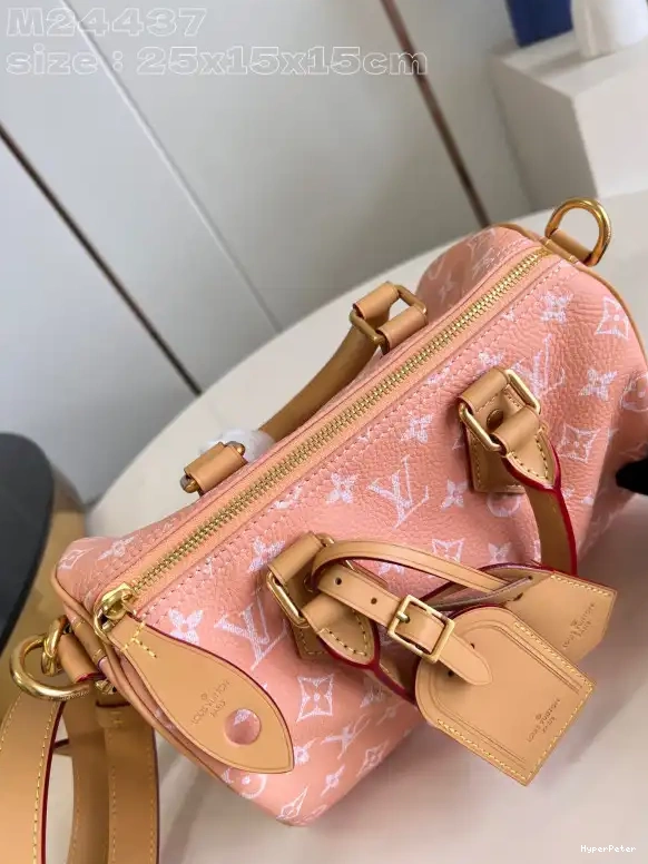 SPEEDY Louis Vuitton 25 0706